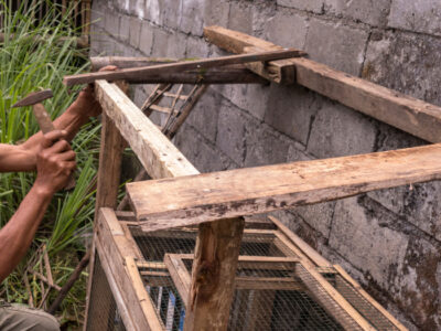 A man repairs a bamboo chicken cage with a hammer. The rustic setting highlights traditional…